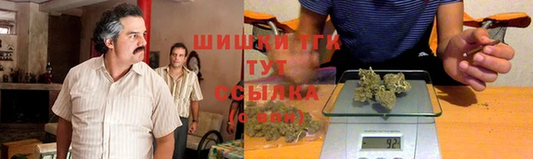 эйфоретик Богородск