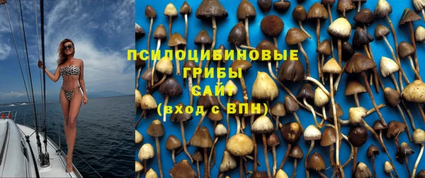 экстази Богданович