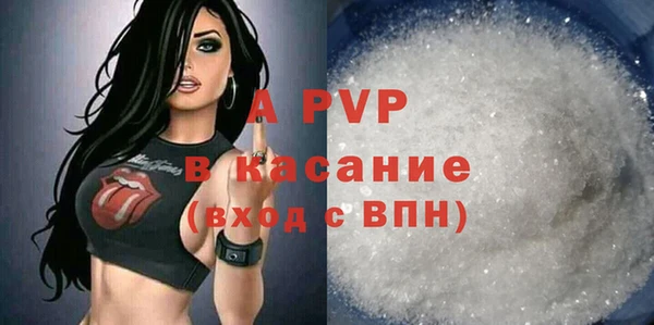 СК Богородицк