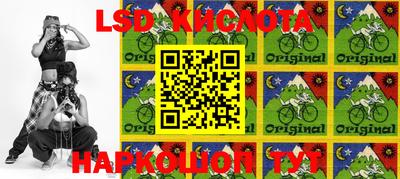 шишки Апшеронск