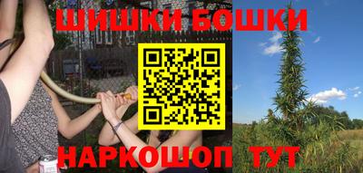 шишки Апшеронск