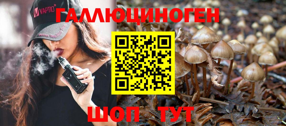 где найти наркотики  Галлюциногенные грибы Cubensis  Вход с VPN  Галлюциногенные грибы мицелий  Бузулук 