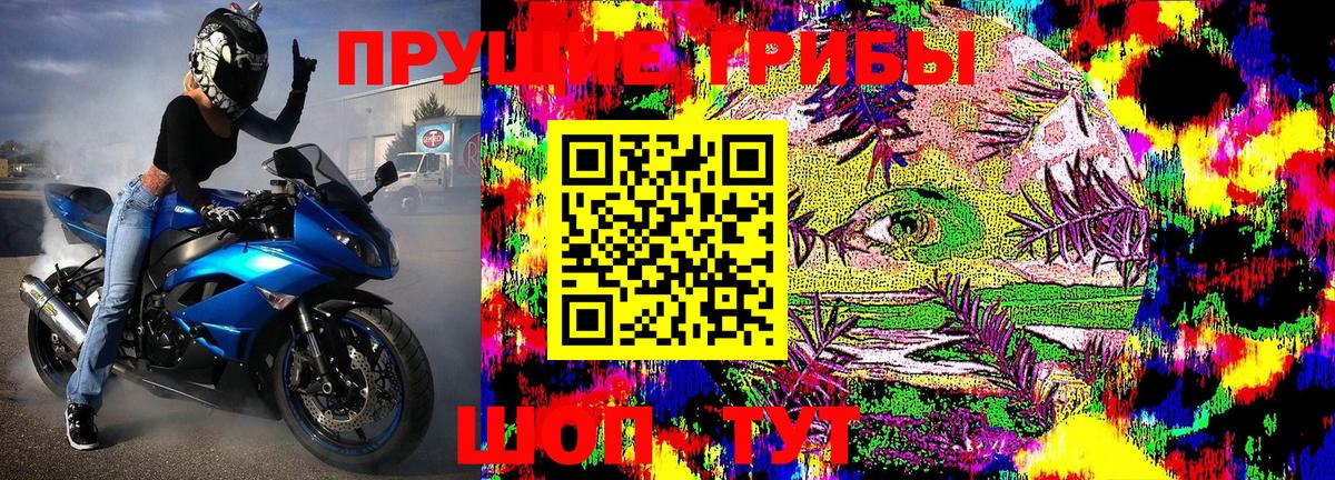 Псилоцибиновые грибы Magic Shrooms  наркотики  Бузулук  Псилоцибиновые грибы ЛСД 