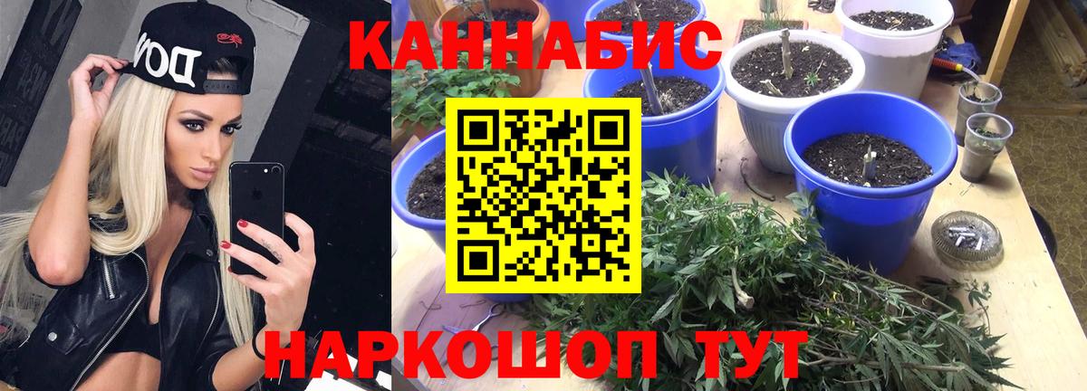 Марихуана конопля Бузулук